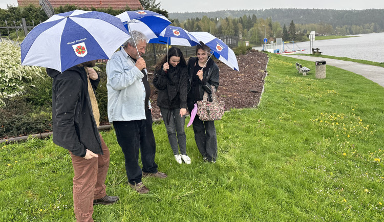 Ve Frymburku nad Vltavou na břehu lipenské přehrady bude busta Járy