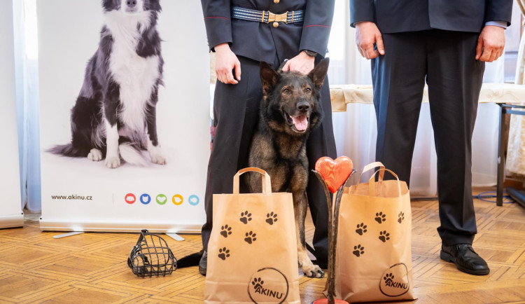 Policejní pes Rapp si odnesl ocenění v anketě Statečné psí srdce. Život zachránil ztracenému muži