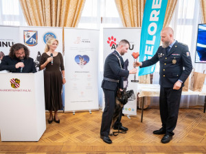 Policejní pes Rapp si odnesl ocenění v anketě Statečné psí srdce. Život zachránil ztracenému muži