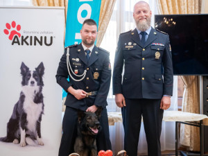 Policejní pes Rapp si odnesl ocenění v anketě Statečné psí srdce. Život zachránil ztracenému muži