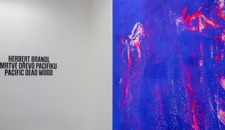 438734106_964753318984067_7057666975264339239_n