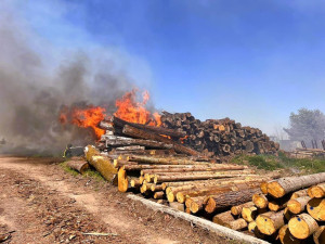 Na Táborsku hoří pila, střecha se propadla, škoda je pět milionů korun