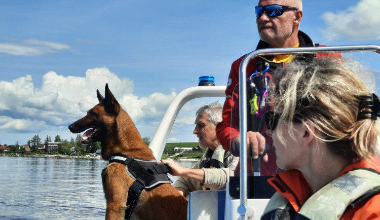 Lipenským vodním záchranářům budou pomáhat speciálně vycvičení psi i kolegové z Rakouska