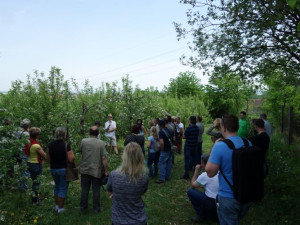 MAS realizují také vzdělávací akce pro zájemce z řad veřejnosti.