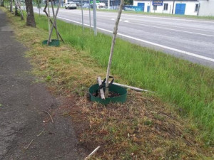 V Písku se stále potýkají s vandalismem, škodit do města přijíždějí i mladiství z okolních měst