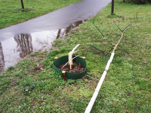 V Písku se stále potýkají s vandalismem, škodit do města přijíždějí i mladiství z okolních měst