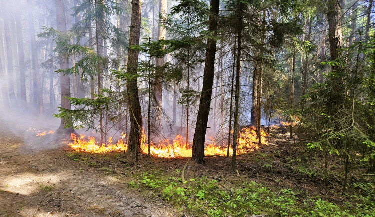 Kvůli suchu a větru hrozí v části kraje nebezpečí vzniku požárů