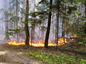 Kvůli suchu a větru hrozí v části kraje nebezpečí vzniku požárů