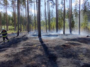 Hasiči zasahovali u několika požárů lesů. Meteorologové prodloužili výstrahu