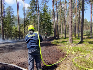 Hasiči zasahovali u několika požárů lesů. Meteorologové prodloužili výstrahu