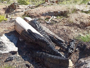 Národní park Šumava zavedl kvůli bezpečnosti nové opatření proti bezohledným návštěvníkům