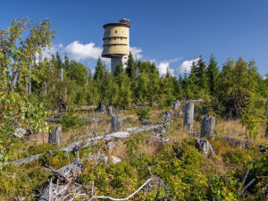 Národní park Šumava zavedl kvůli bezpečnosti nové opatření proti bezohledným návštěvníkům