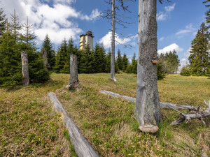 Národní park Šumava zavedl kvůli bezpečnosti nové opatření proti bezohledným návštěvníkům