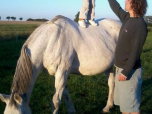Policisté pořádají sbírku pro kolegu. Po skoku do bazénu bojuje o život