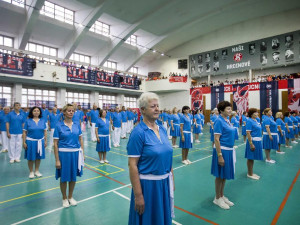 Krajský sokolský slet v Českých Budějovicích. Slavnostní setkání sokolů proběhne na Sokolském ostrově