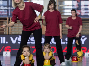 Krajský sokolský slet v Českých Budějovicích. Slavnostní setkání sokolů proběhne na Sokolském ostrově