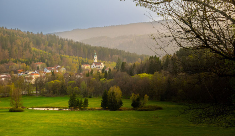 Běhej lesy Železná Ruda: Premiérové lesní běžecké dobrodružství láká na krásy CHKO Šumava