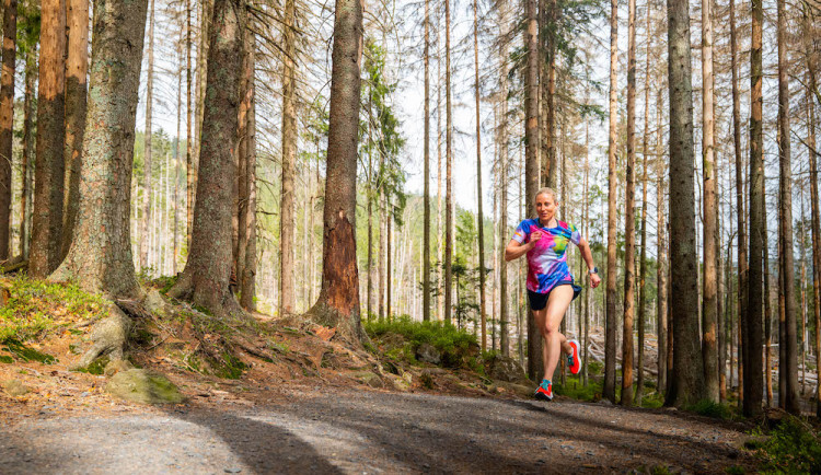 Běhej lesy Železná Ruda: Premiérové lesní běžecké dobrodružství láká na krásy CHKO Šumava