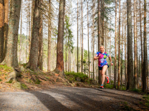 Běhej lesy Železná Ruda: Premiérové lesní běžecké dobrodružství láká na krásy CHKO Šumava