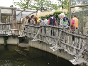 Akce Zachraň karase se koná v Jihočeské zoologické zahradě Hluboká nad Vltavou