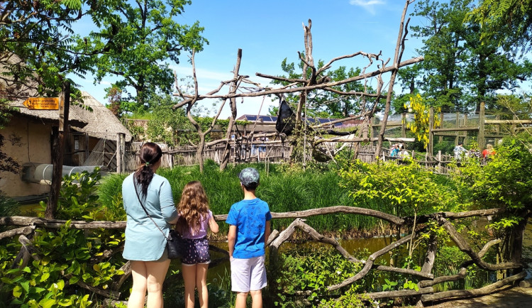 Akce Zachraň karase se koná v Jihočeské zoologické zahradě Hluboká nad Vltavou