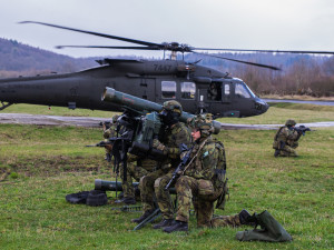 Čeští a slovenští vojáci spolu pravidelně cvičí, naposledy vloni při cvičení Tobruq Arrows 2023.  Autor: Jana Samcová