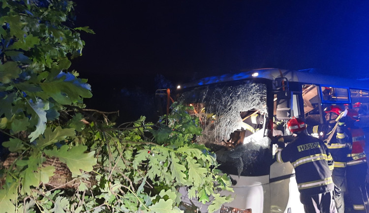 Strom spadl na autobus a uvěznil řidičku za volantem. Skončila v nemocnici