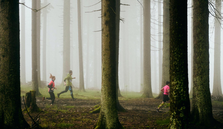 Železná Ruda pokřtěna. Trasy šumavskou divočinou si užilo přes 1 200 běžců