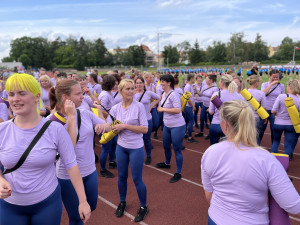 Sokolský slet roztančil České Budějovice, zúčastnilo se ho několik stovek vystupujících.
