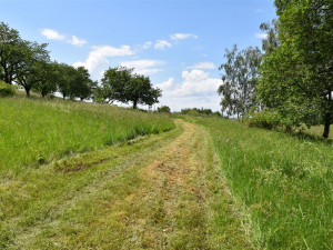 Bývalý lom přetvořili v Písku na veřejné ohniště, láká na pikniky i opékání špekáčků