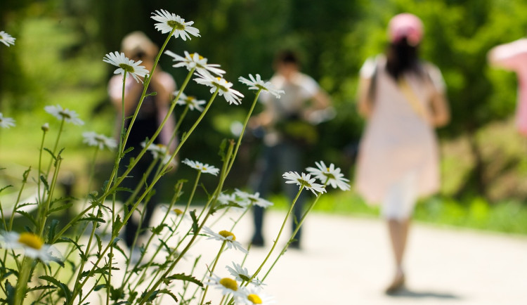 Po ochlazení v polovině týdne se o víkendu vrátí teplé počasí