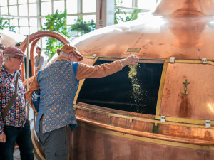 Štamgasti vařili v budějovickém budvaru slavnostní várku piva k oslavám 70. výročí masných krámů