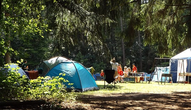 Před prázdninami je na jihu Čech nahlášeno více než 160 dětských táborů. Další budou přibývat, očekávají hygienici