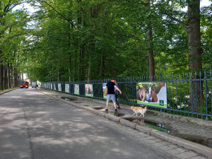 Týraná zvířata i dráha pro čtyřkolky. Kulturní památku mění bez povolení na zábavní park, úřady jsou bezmocné