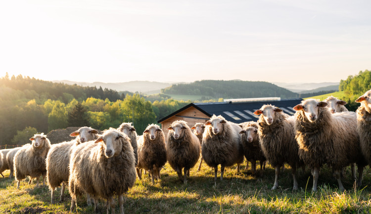 Na Lipně se otevírá nová naučná stezka nejen pro rodiny s dětmi!