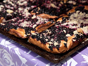 Přijeďte v červenci na Borůvkobraní do Borovan