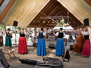 Přijeďte v červenci na Borůvkobraní do Borovan