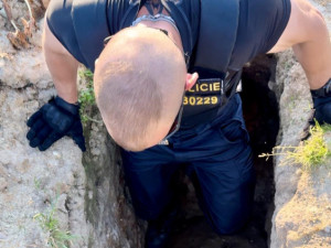 Srnčí mládě uvázlo v jámě po kopáčích vltavínů, ven se dostalo až s pomocí policistů