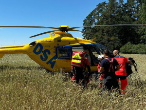 V nepřístupném terénu spadl na ženu strom, záchranáři ji museli vyzvednout za pomoci vrtulníku
