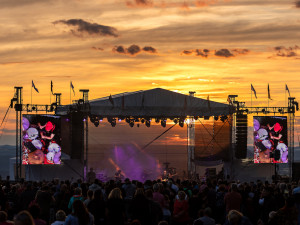 petasamanek@seznam.cz