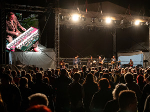 petasamanek@seznam.cz