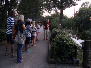 Zažijte večerní komentované prohlídky v Zoo Hluboká