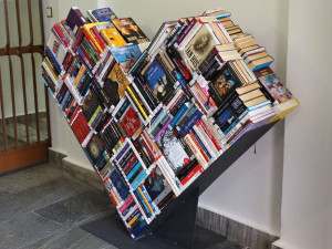 Táborská knihovna se přesunula na náměstí a po dvou měsících se opět otevírá čtenářům