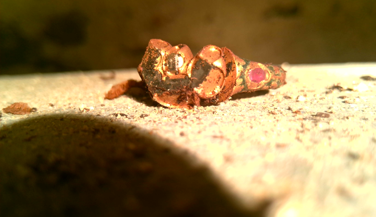 Mimořádný archeologický nález, ve Vyšším Brodě vystavují párové prsteny Petra Voka a Kateřini z Luhanic