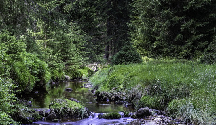 U Českých Budějovic by mohl vzniknout přírodní park Údolí Rudolfovského potoka