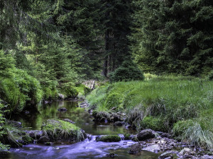 U Českých Budějovic by mohl vzniknout přírodní park Údolí Rudolfovského potoka