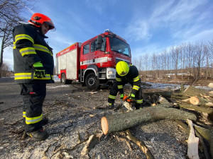 U Mirotic na Písecku zapálil blesk vzrostlý strom, jinak byla bouřková noc spíše klidná