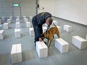 V deseti letech jde policejní šampion do důchodu. Button je prostě borec, říká jeho páníček