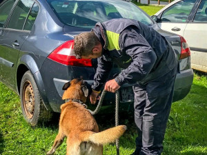 V deseti letech jde policejní šampion do důchodu. Button je prostě borec, říká jeho páníček