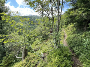 Zdolejte druhou nejvyšší horu Šumavy a Bavorského lesa. Na Roklan se vydejte úchvatnou, ale nejtěžší cestou